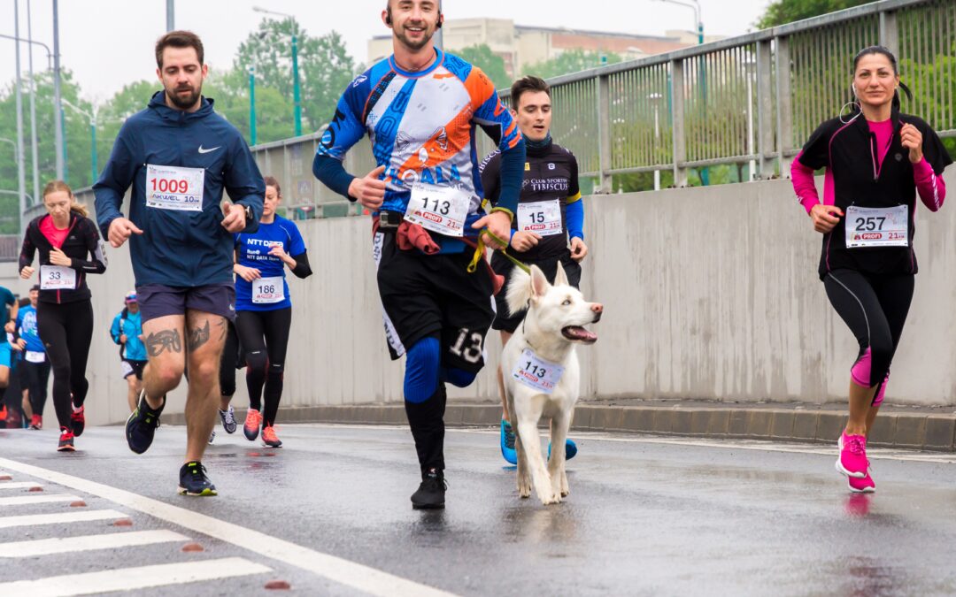 Foregoing the fundraising: How can charities harness the power of marketing to increase their unrestricted revenue?