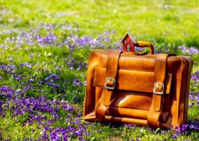 Why sustainability is good for business, and how to sell it to your board.